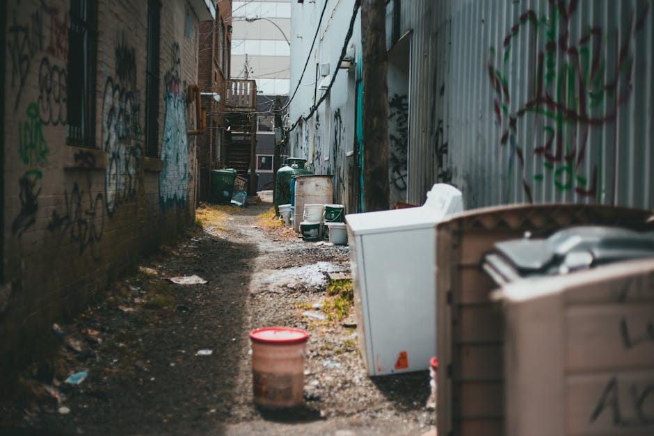 Kentish Town rubbish removal guide for NW5 residents