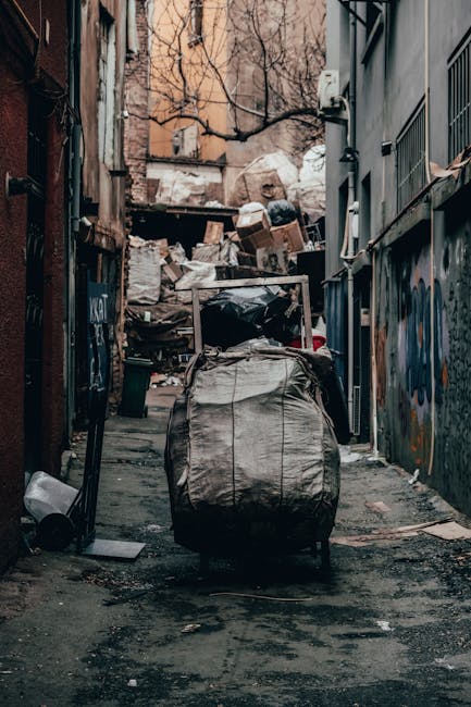 Same day rubbish removal options on Kentish Town Road